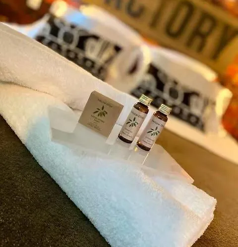 Hyper Centre The Factory Apartment Colmar